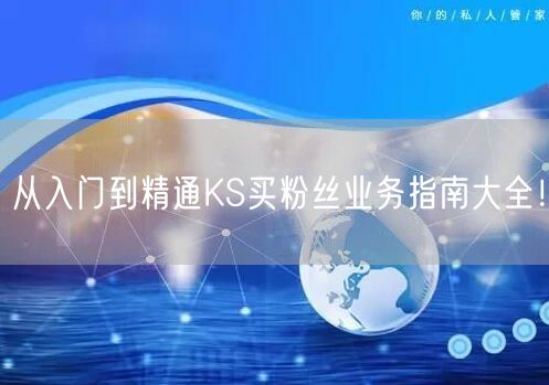 从入门到精通KS买粉丝业务指南大全！