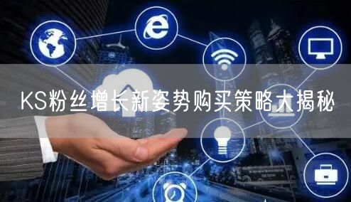 KS粉丝增长新姿势购买策略大揭秘
