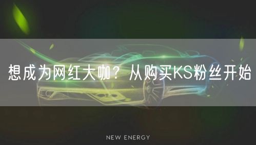 想成为网红大咖？从购买KS粉丝开始