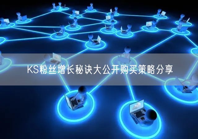 KS粉丝增长秘诀大公开购买策略分享