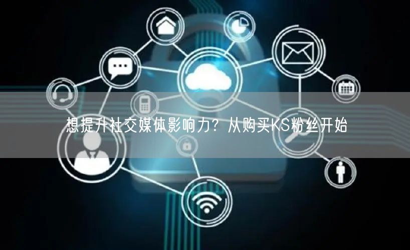 想提升社交媒体影响力？从购买KS粉丝开始