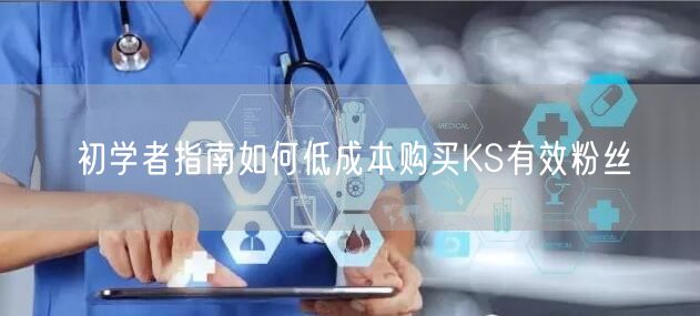初学者指南如何低成本购买KS有效粉丝