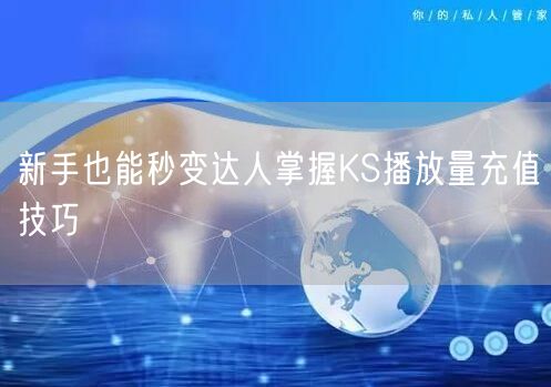 新手也能秒变达人掌握KS播放量充值技巧