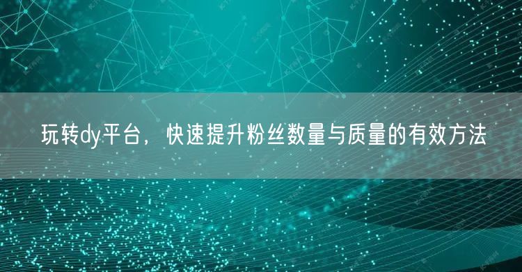 玩转dy平台，快速提升粉丝数量与质量的有效方法