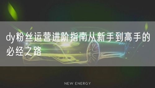 dy粉丝运营进阶指南从新手到高手的必经之路