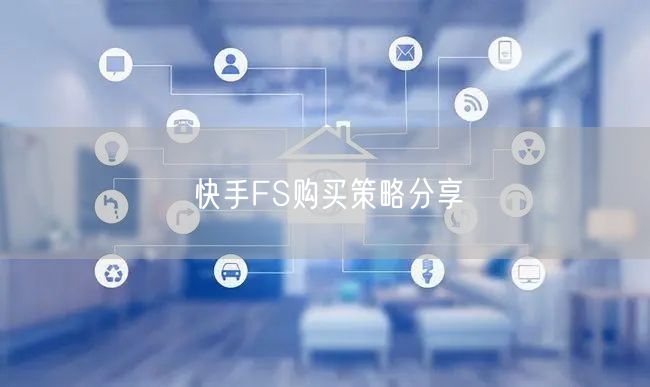 快手FS购买策略分享