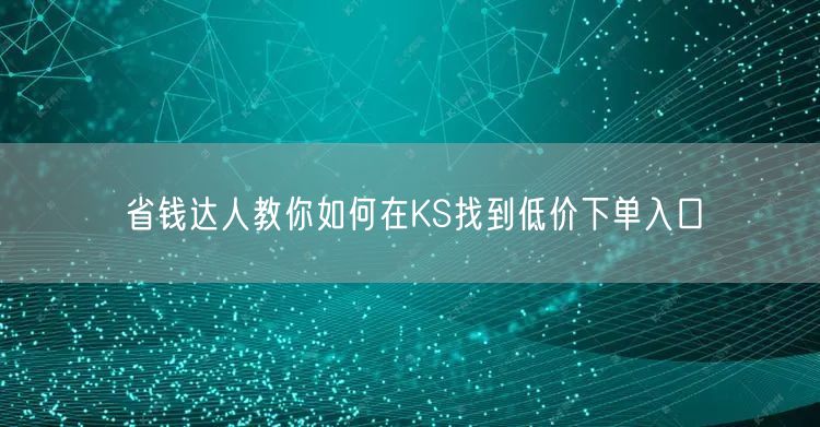 省钱达人教你如何在KS找到低价下单入口