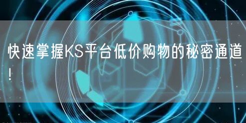 快速掌握KS平台低价购物的秘密通道！