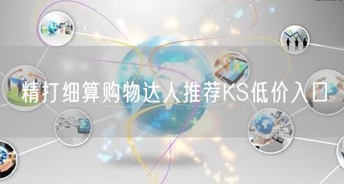 精打细算购物达人推荐KS低价入口
