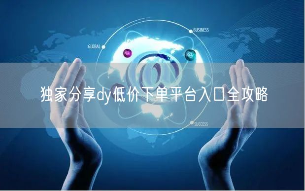独家分享dy低价下单平台入口全攻略